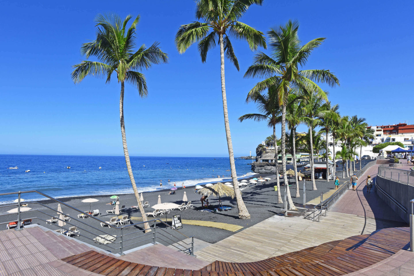 palm-trees-puerto-naos